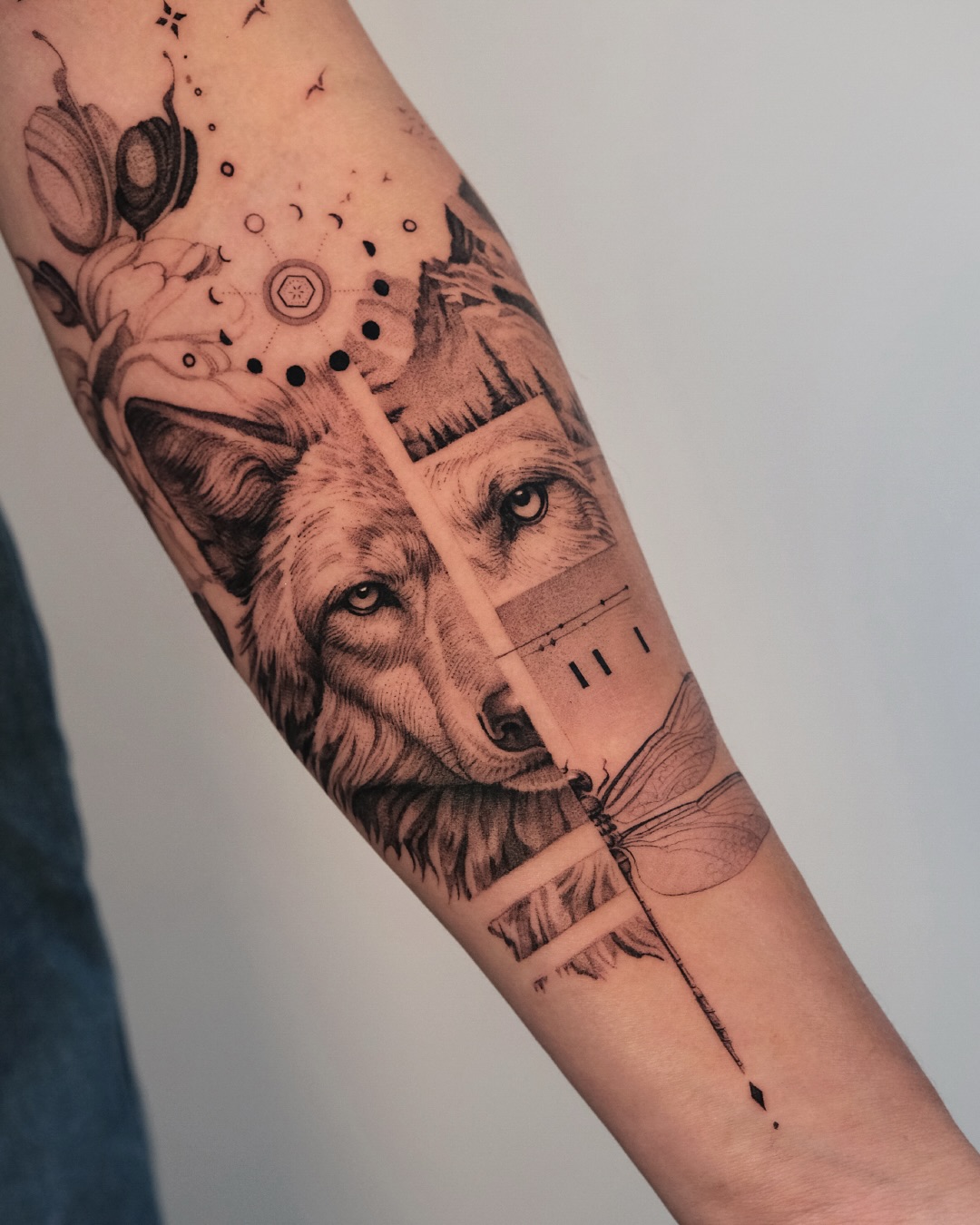 Animal