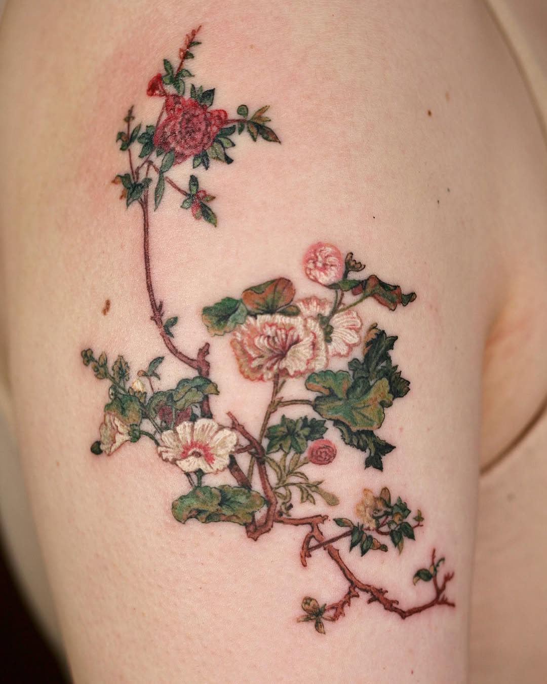 Flower, Rose