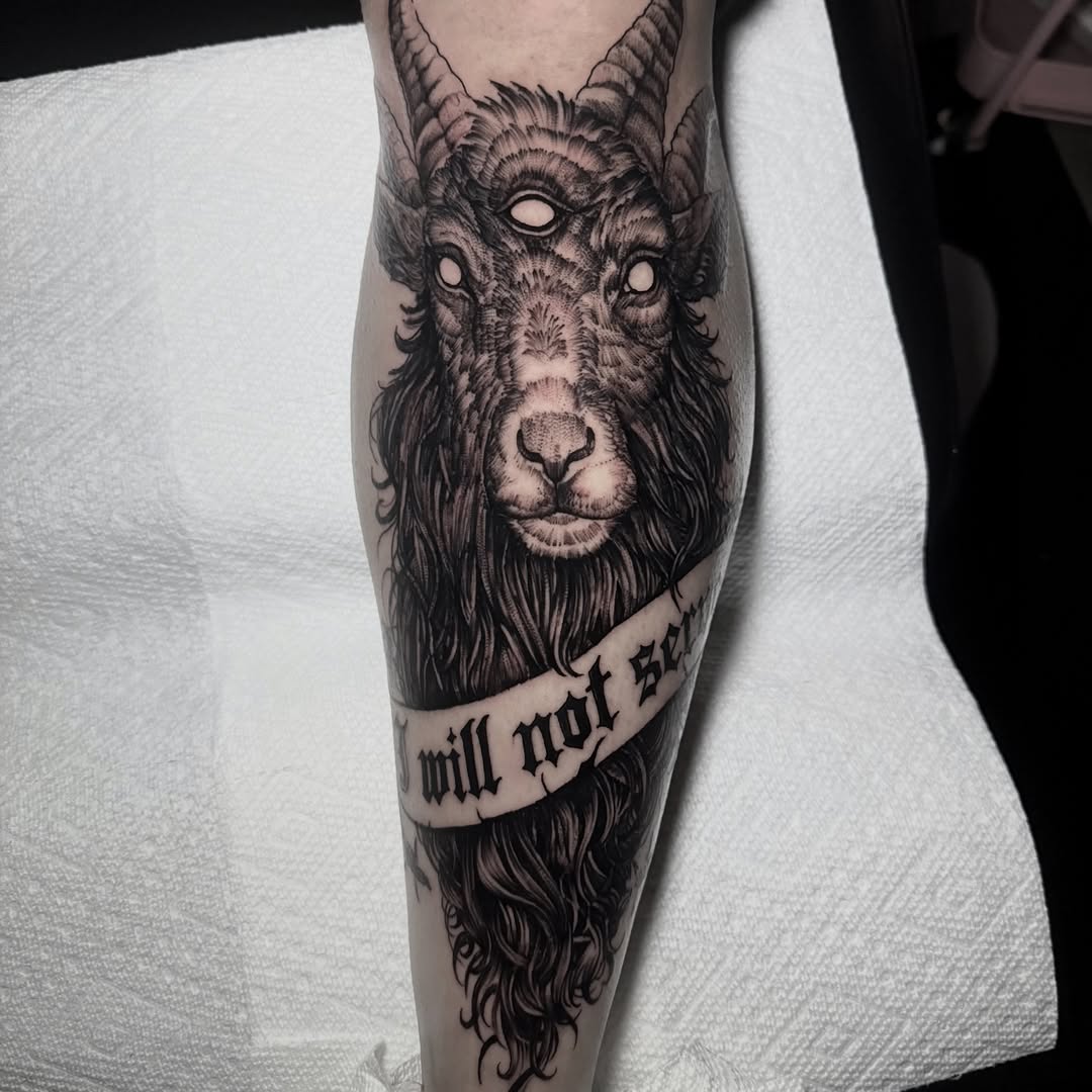 Animal, 팬서, 재규어, 표범