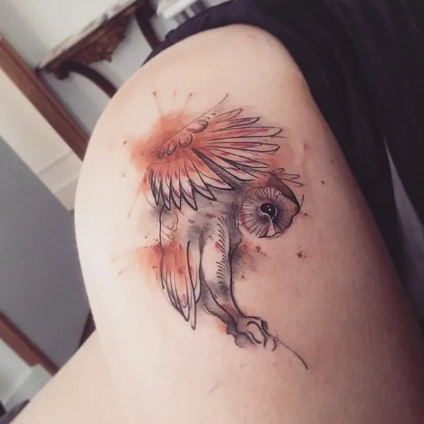 equilattera