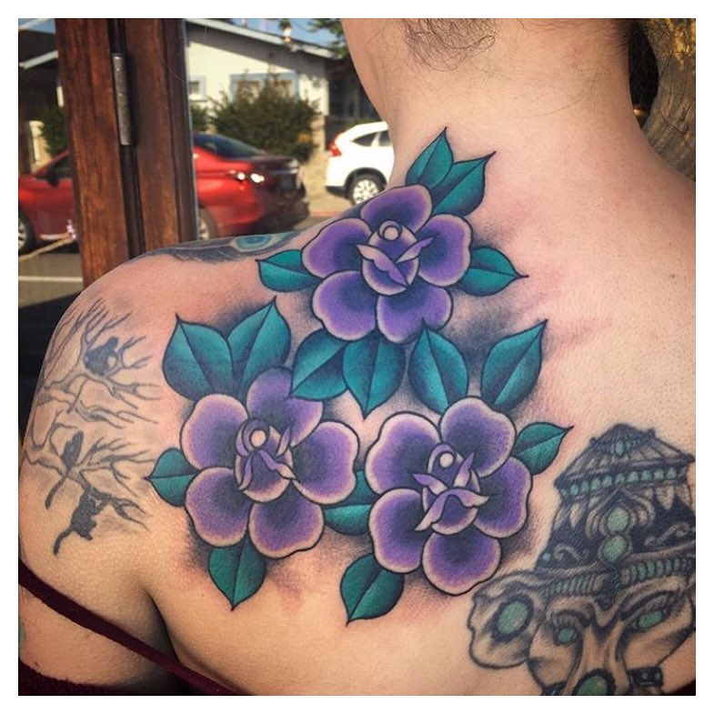 Flower, Rose, Nature