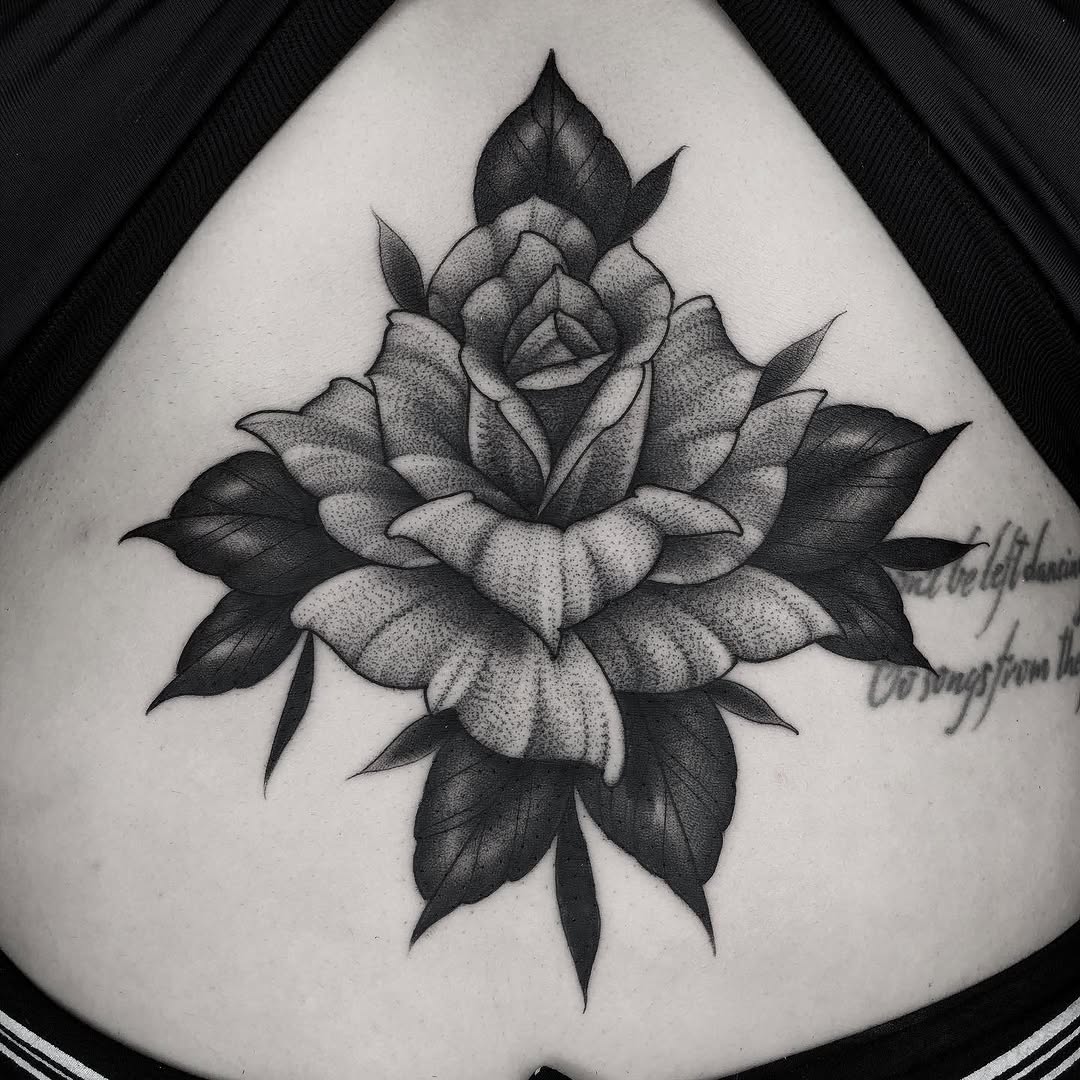 Flower, Rose, Nature
