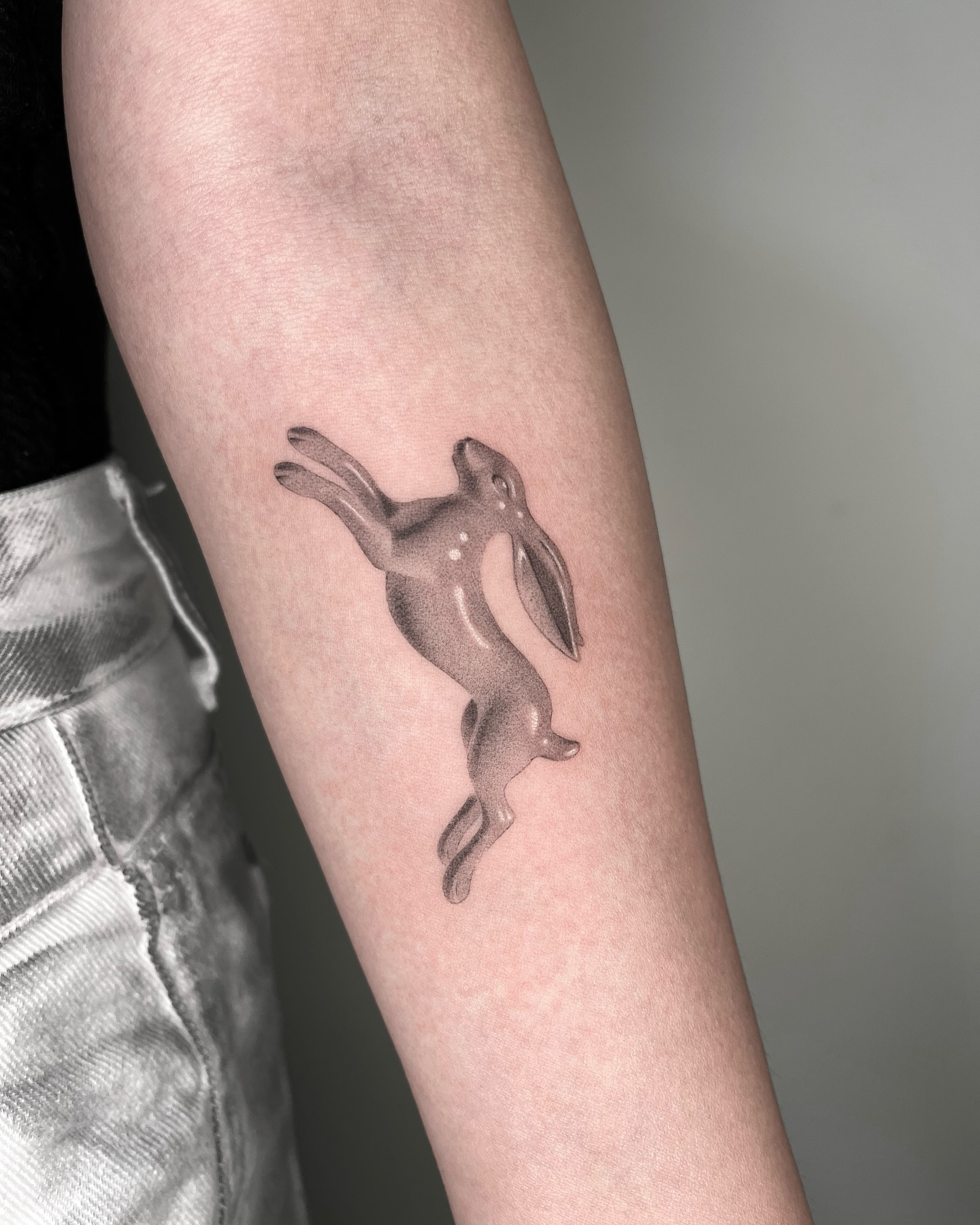 토끼, Animal