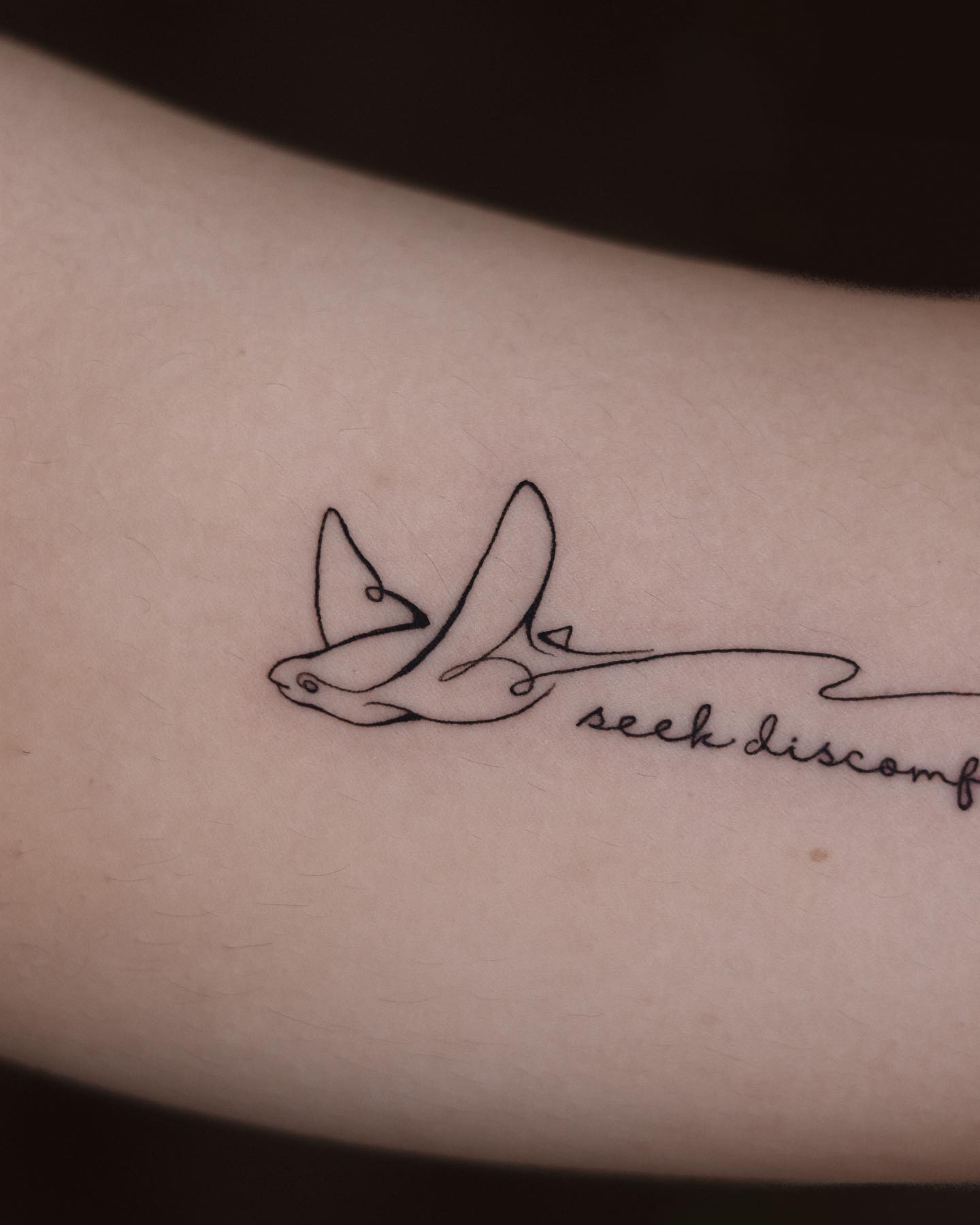 Lettering