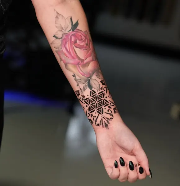Flower, Rose