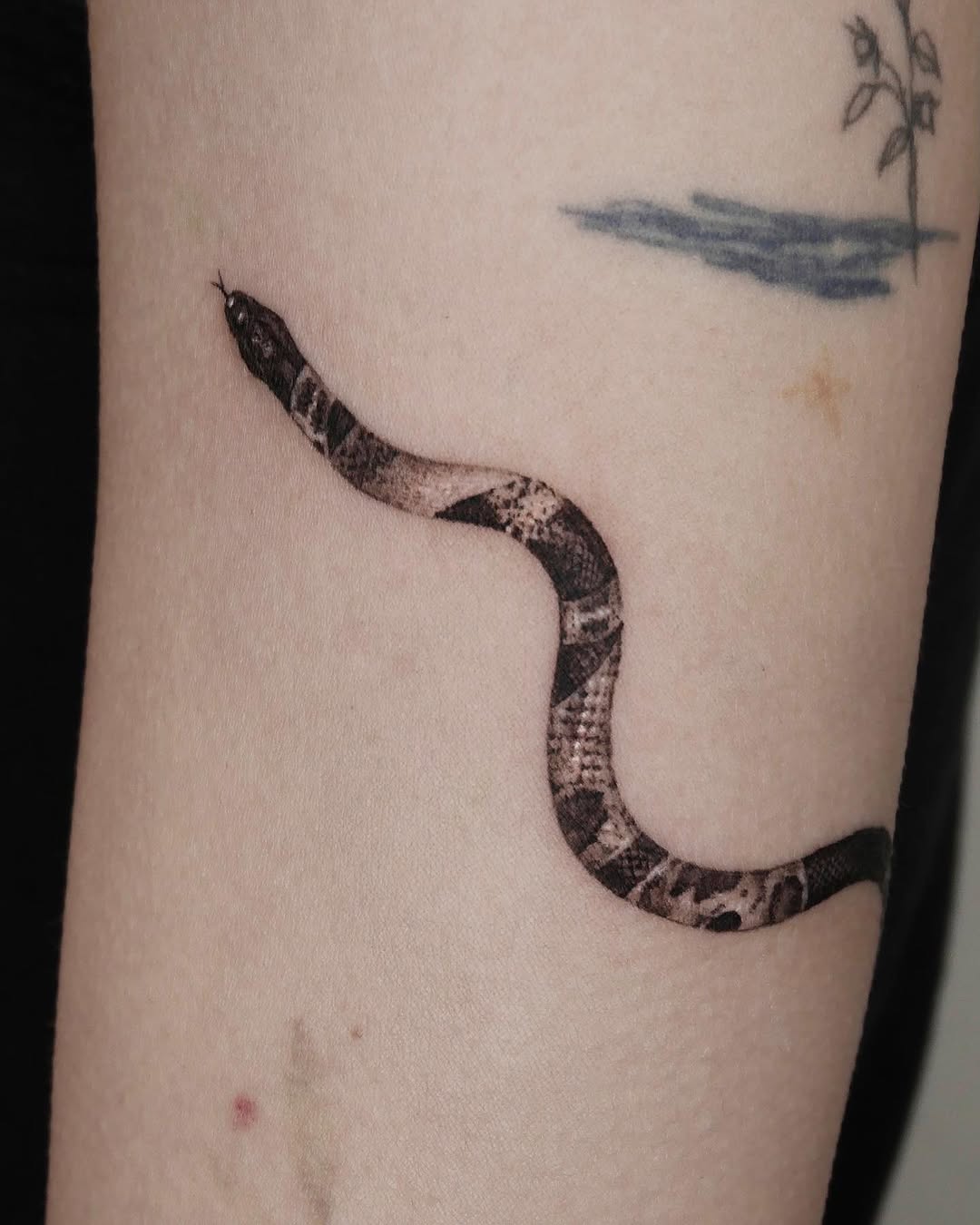 40.tatt
