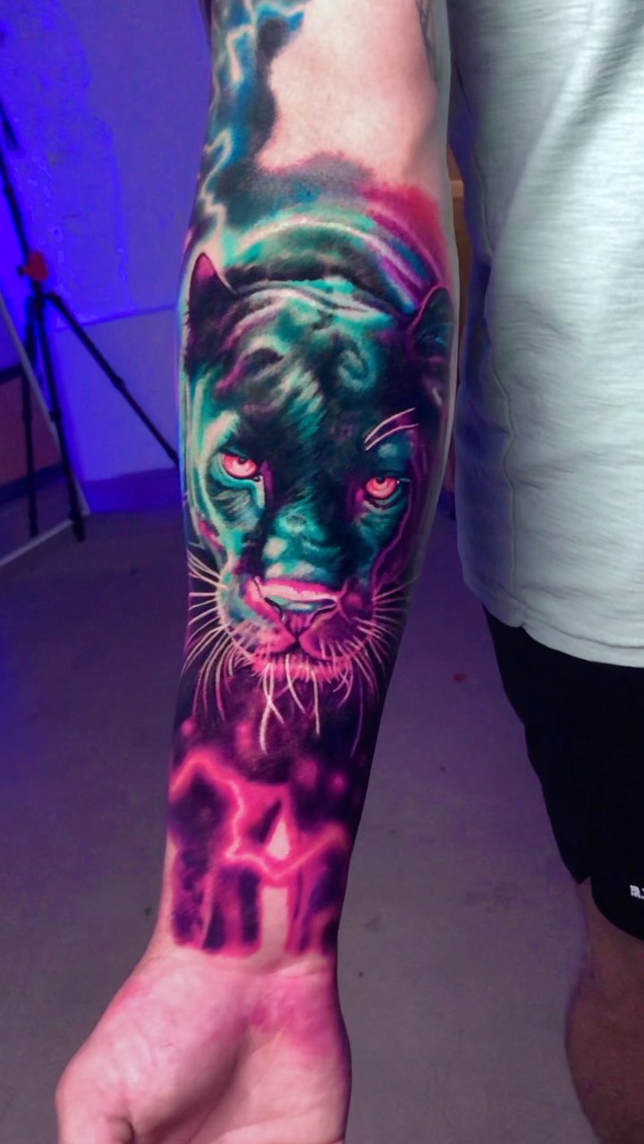 Animal