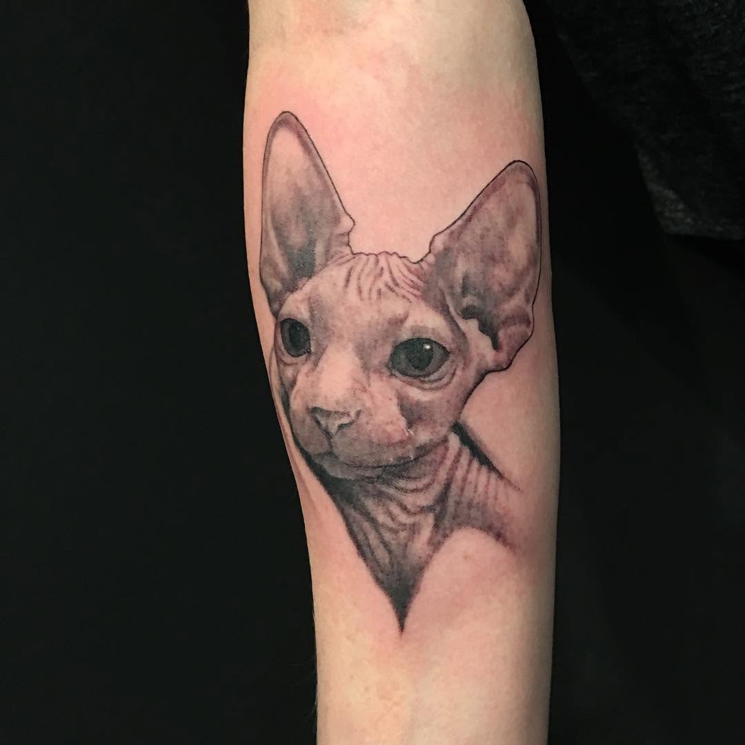 Animal