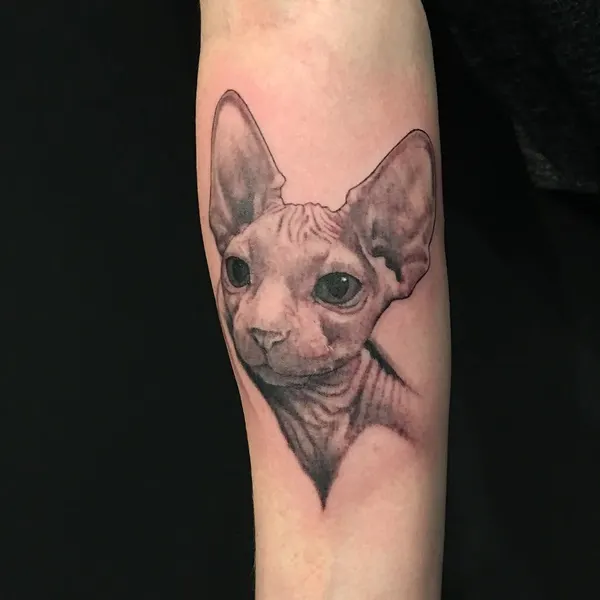 Animal