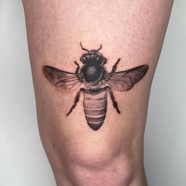 Animal, 벌