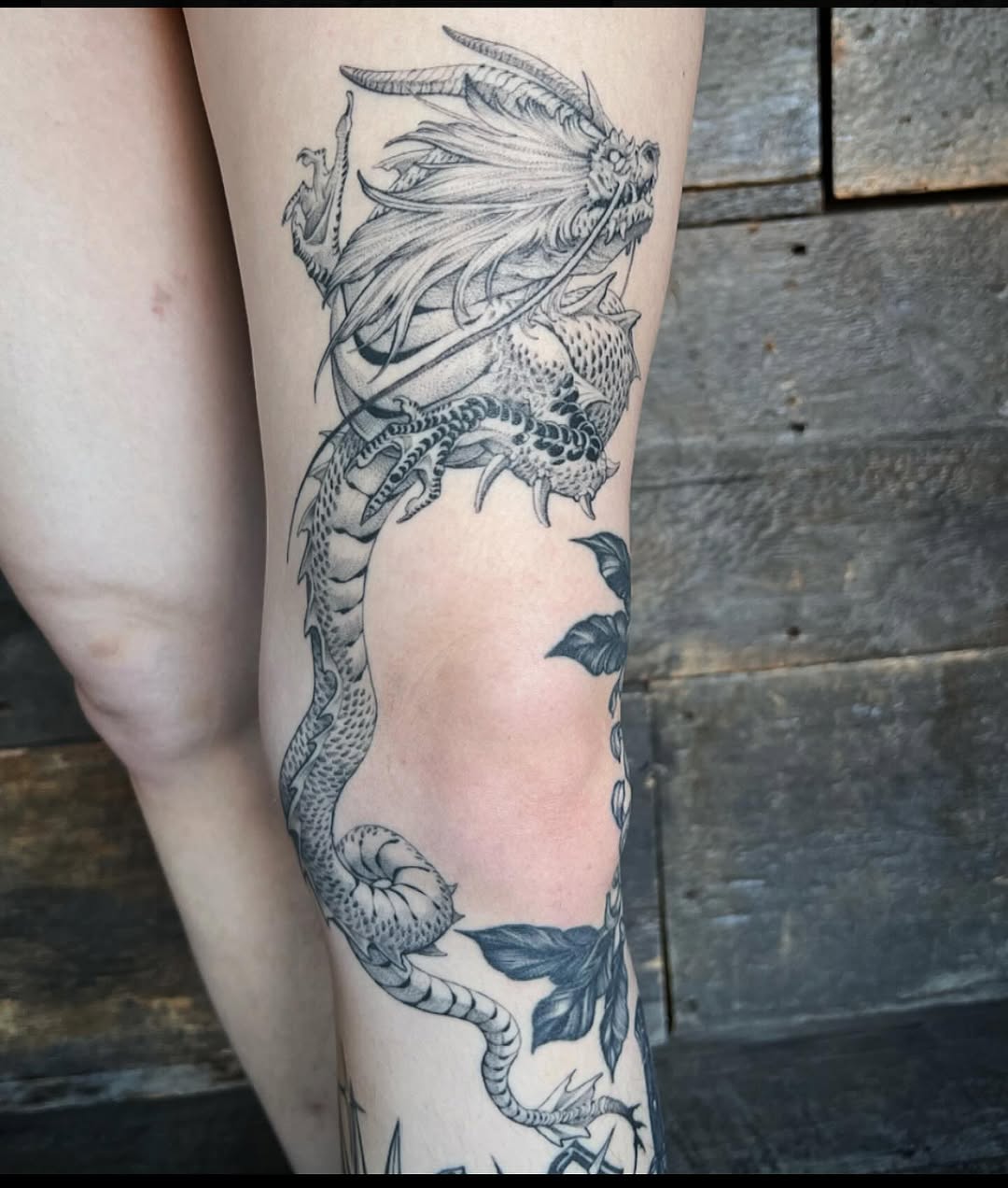 Dragon
