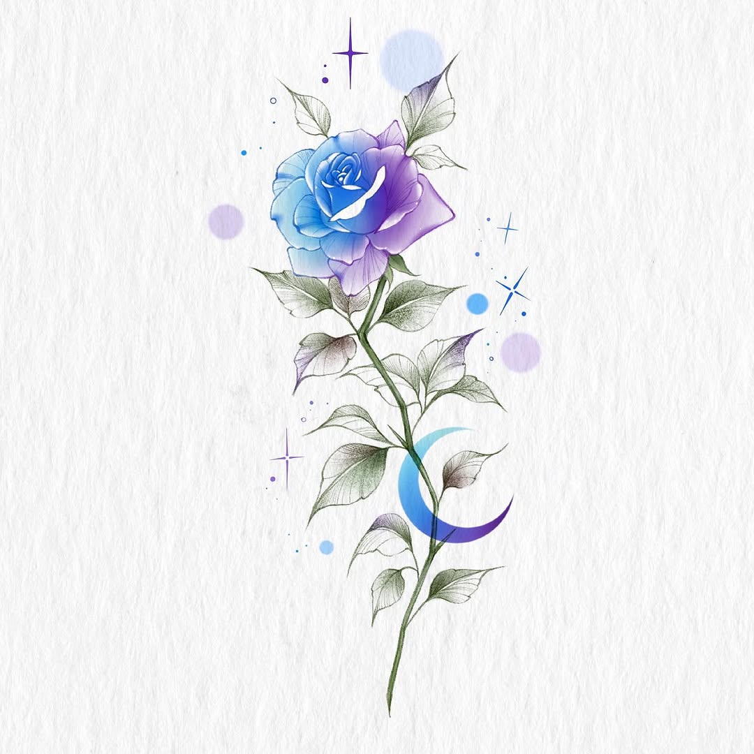 Flower, Nature, Rose