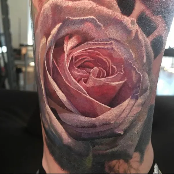 Flower, Rose