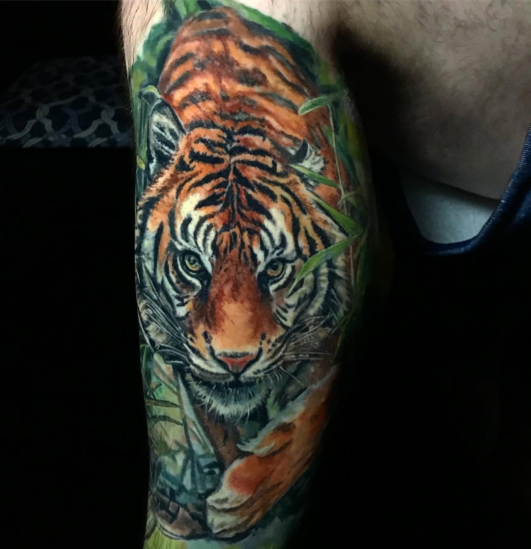 Tiger