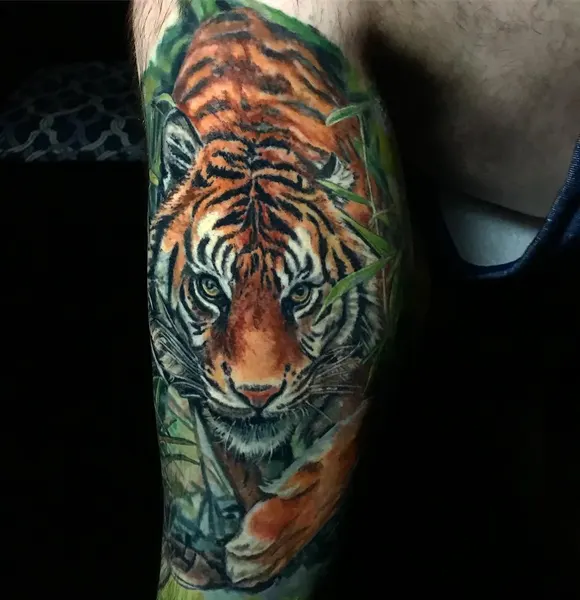 Tiger