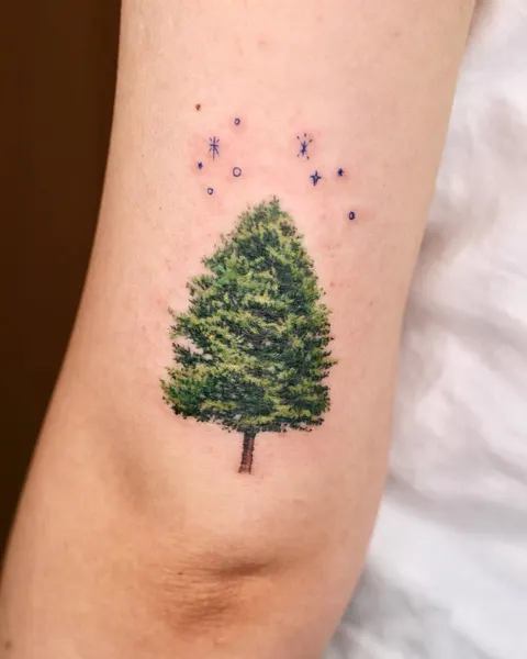Nature, 소나무, 나무, 숲