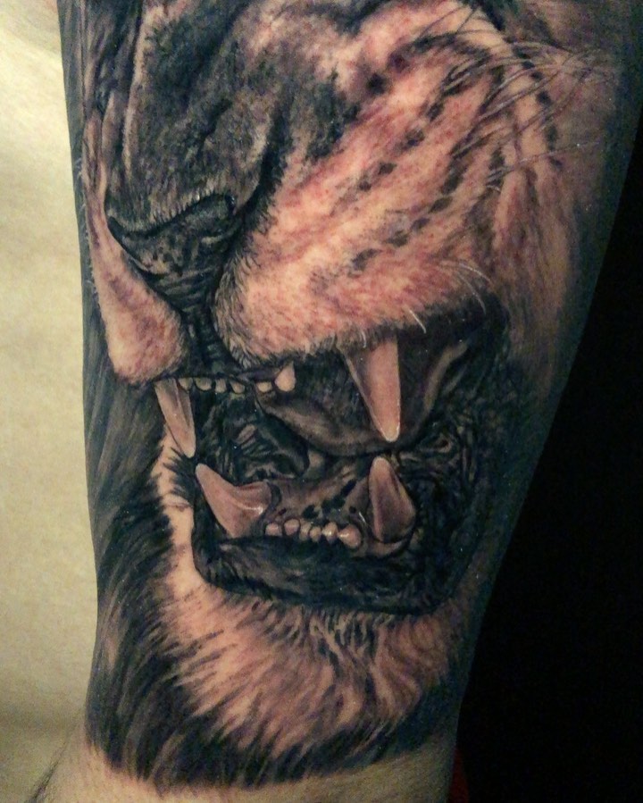 Tiger