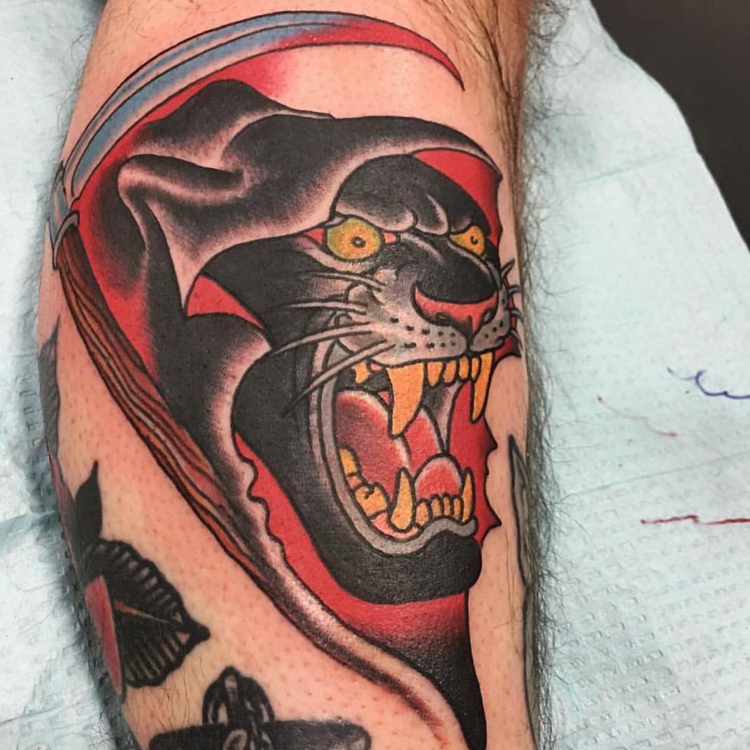 Tiger, Animal