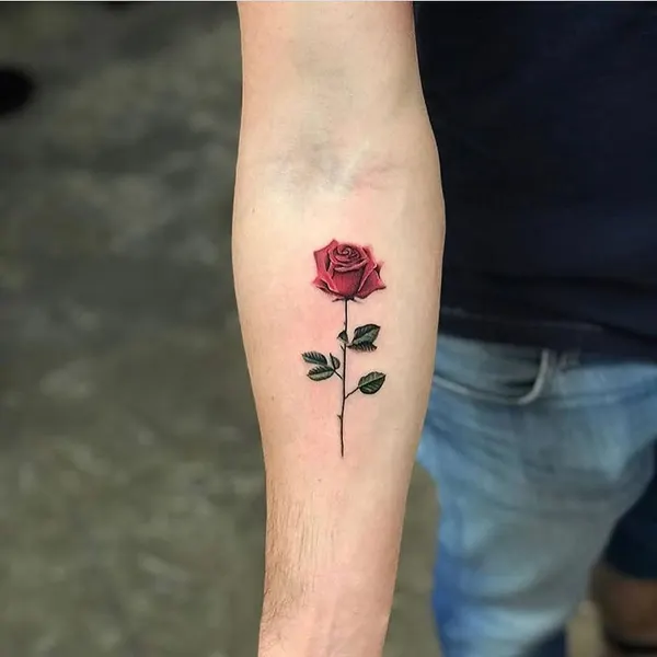 Flower, Rose