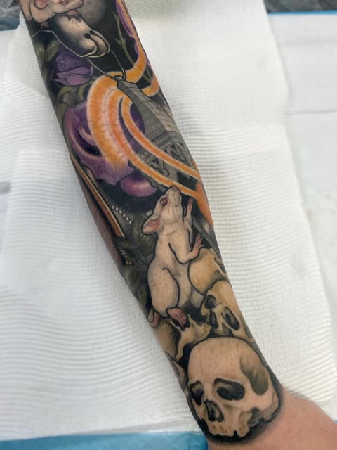 Animal, Tiger