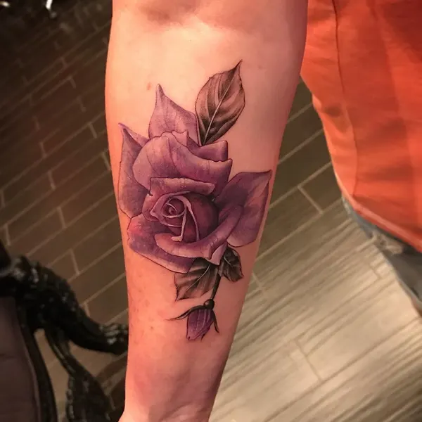 Flower, Rose