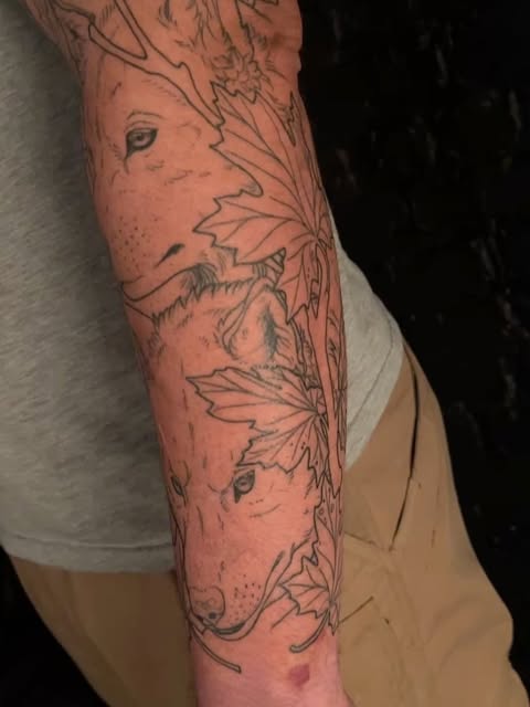 Flower, Animal, Nature