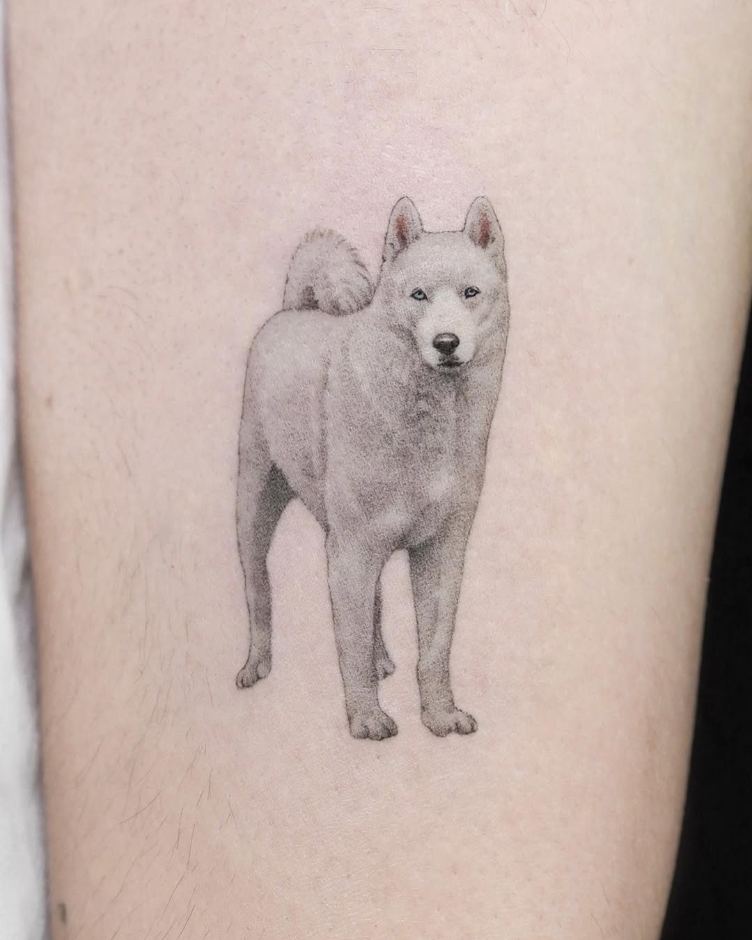 dorok.tattoo
