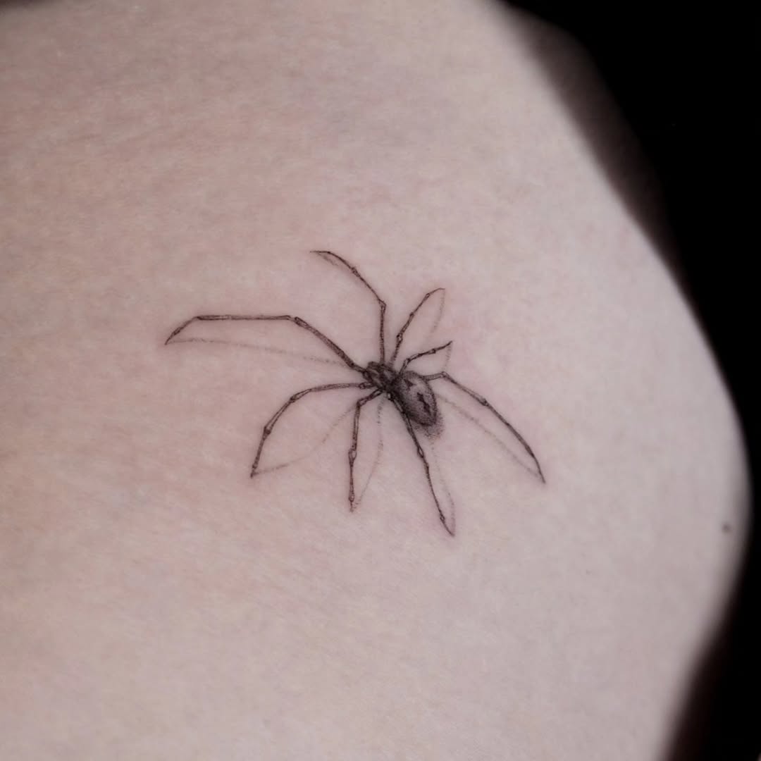 거미, Animal