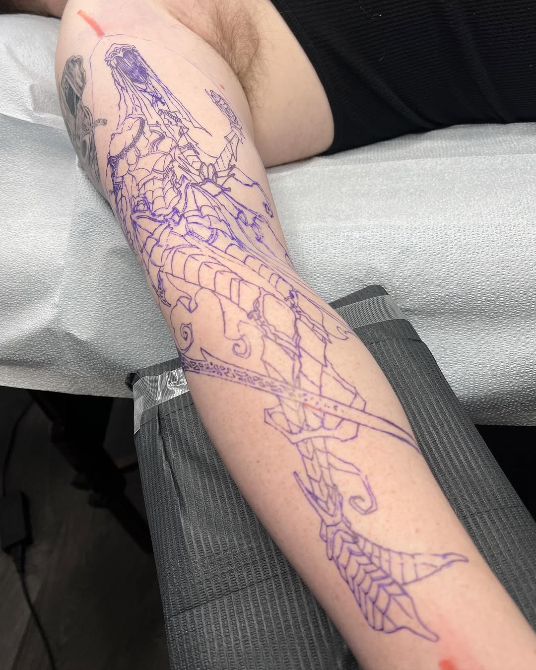 Dragon, Animal