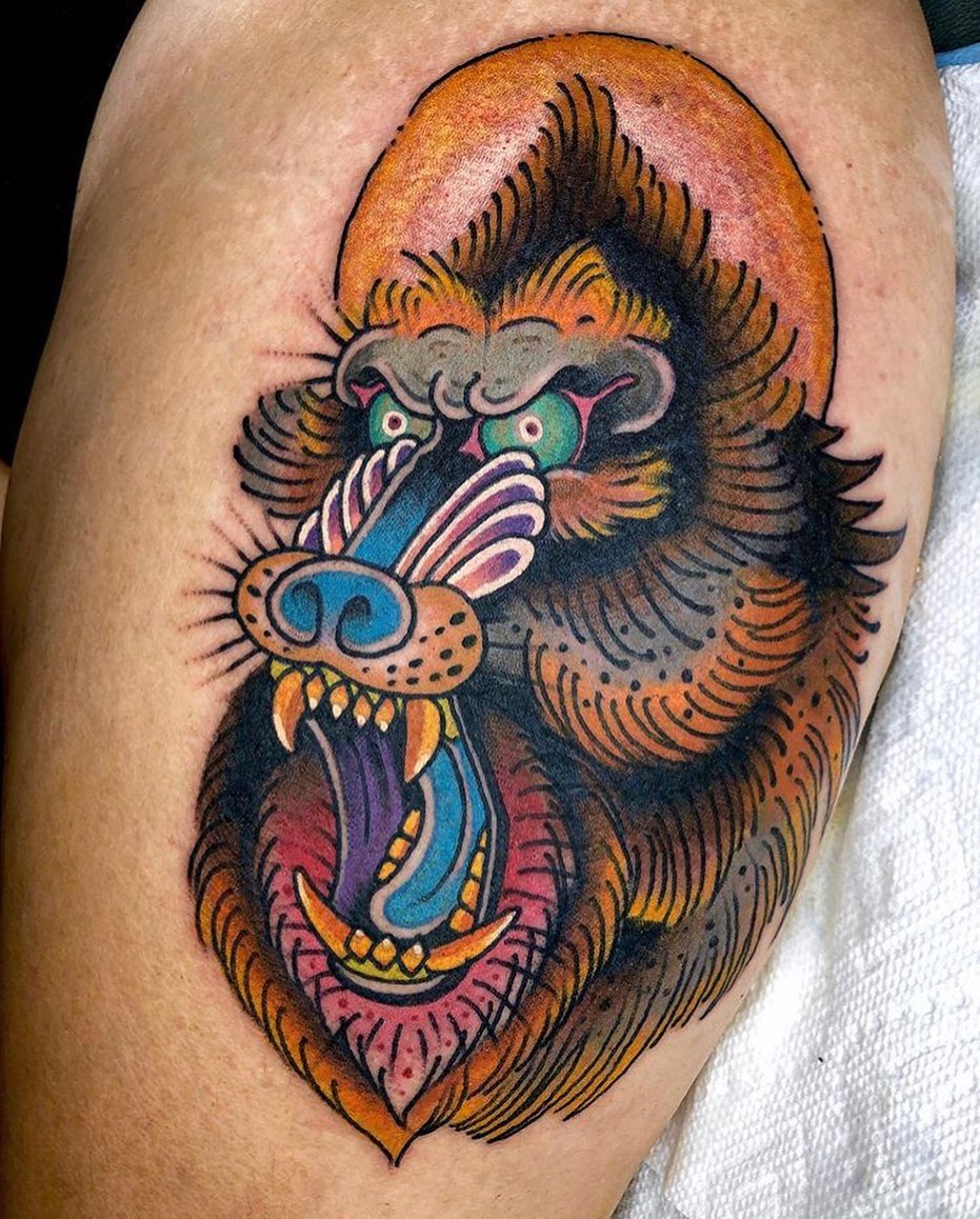 Animal, Tiger