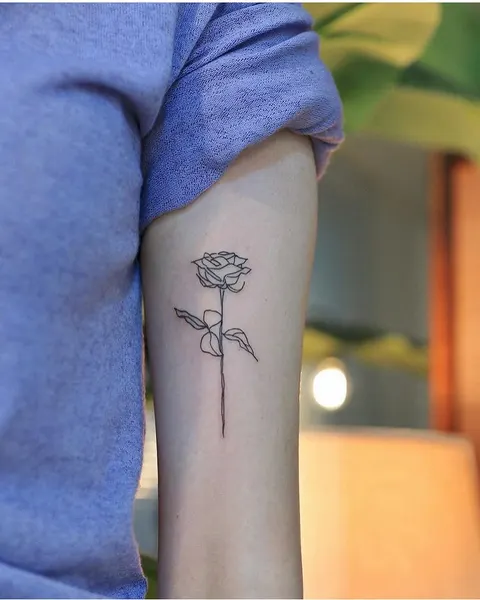 Flower, Rose