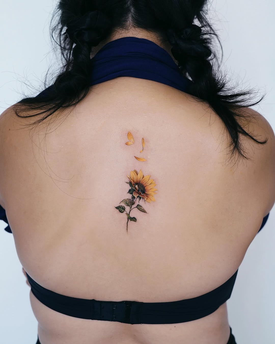 Flower, 해바라기, 데이지
