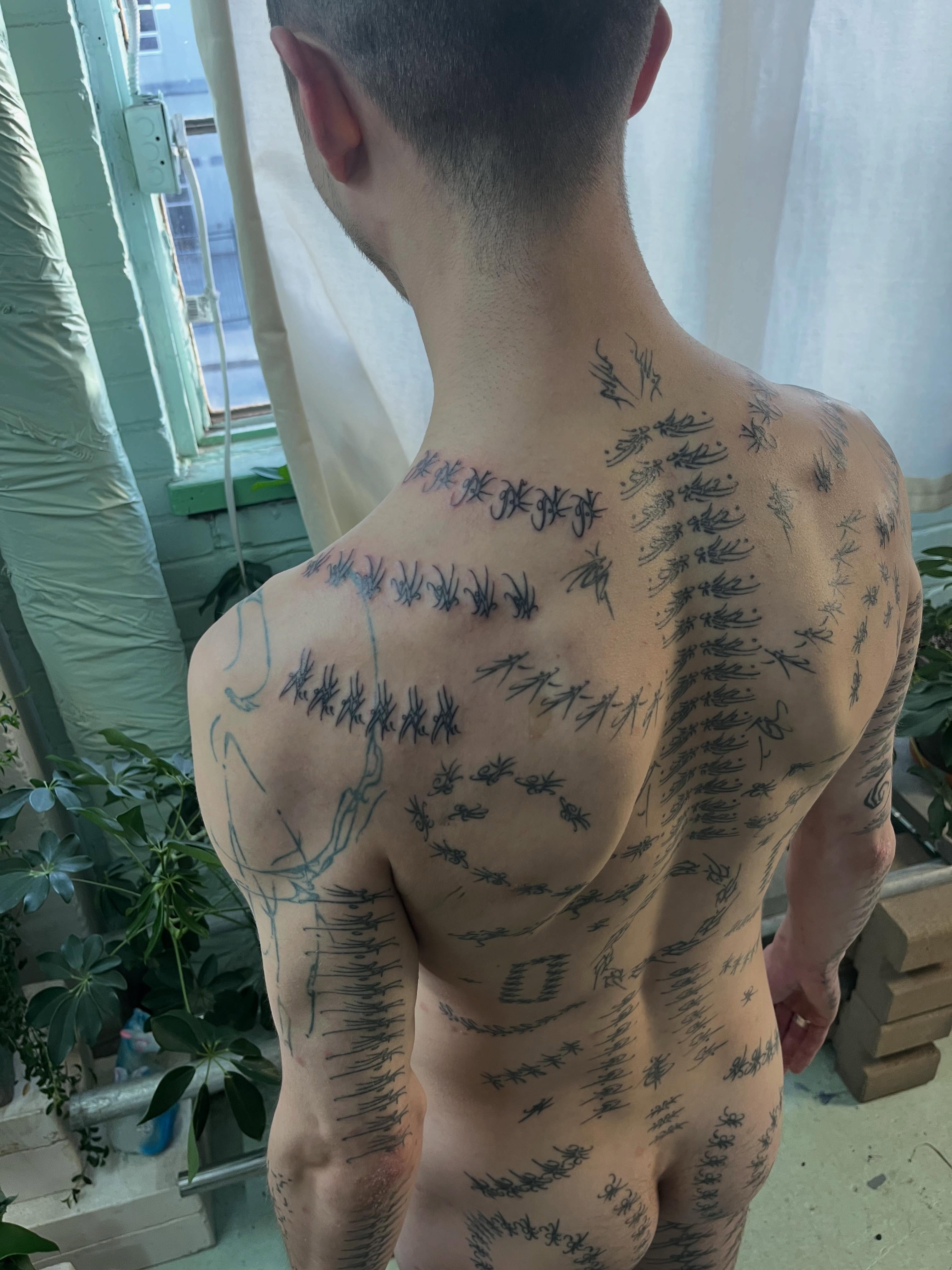 avant__________gardener