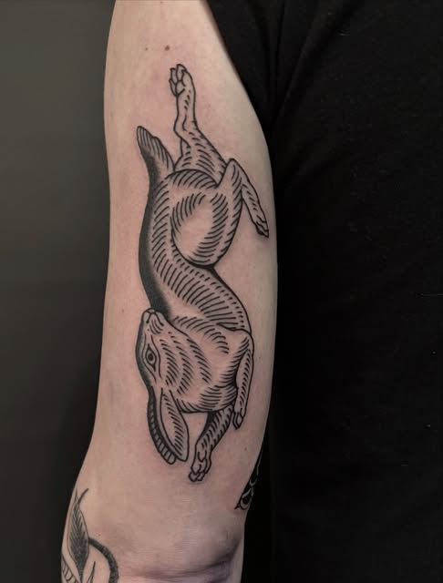 Animal