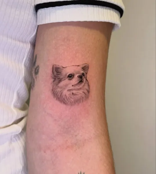 lcjuniortattoo