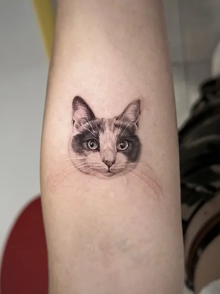 Animal