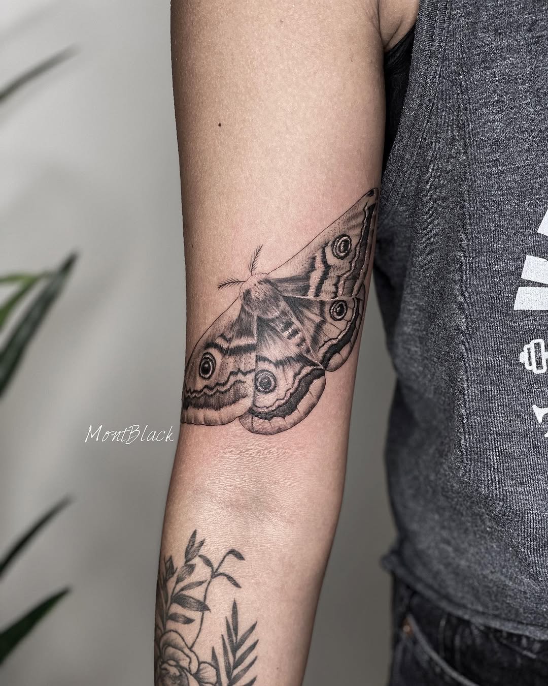 Animal, Nature