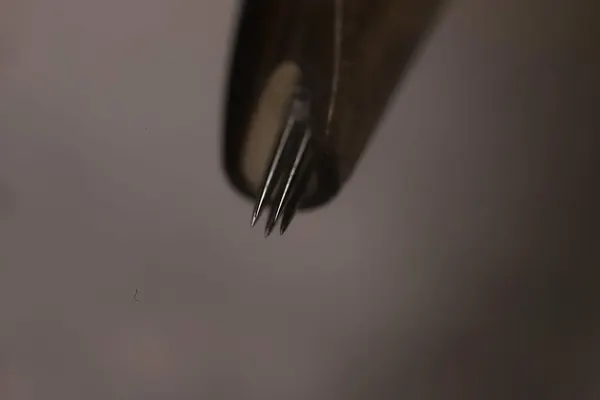 javi_tattooedtheory
