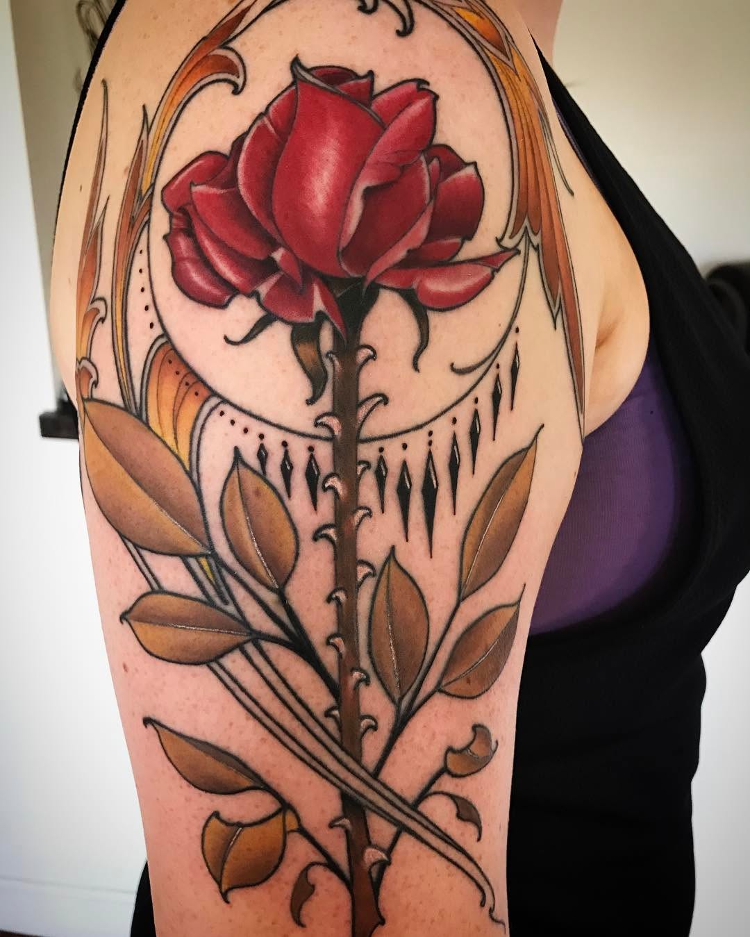 Flower, Rose, Nature