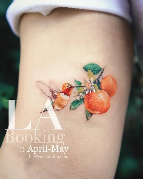 벌새, 제비, 참새, 새, 비둘기