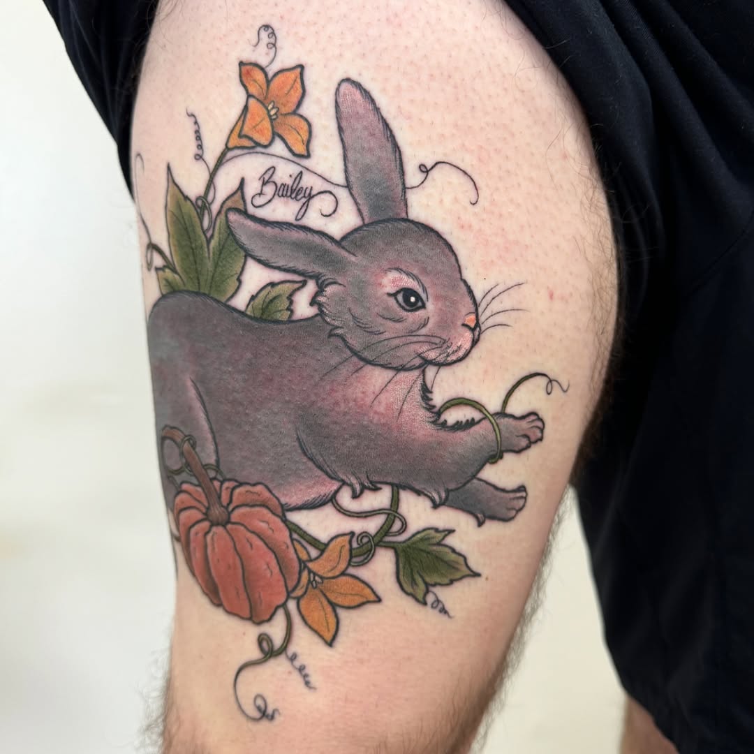 Animal, 토끼