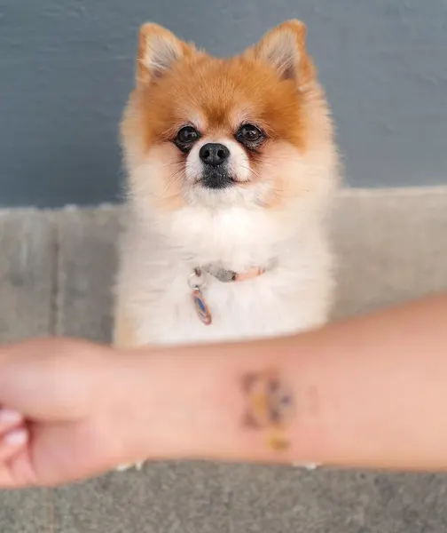 paw.tattoo