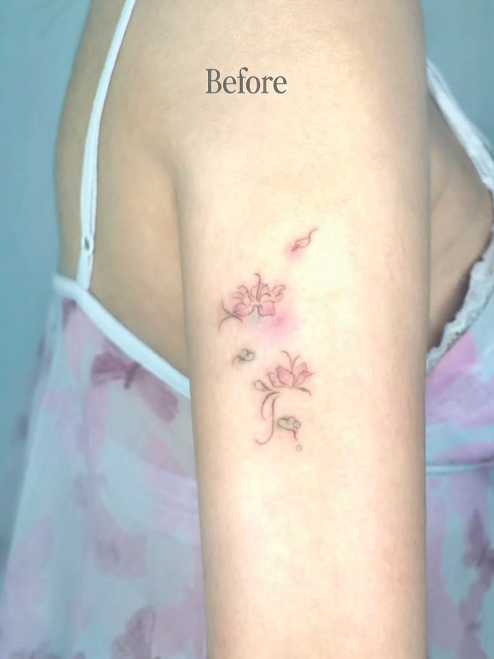 Flower, Rose, Nature