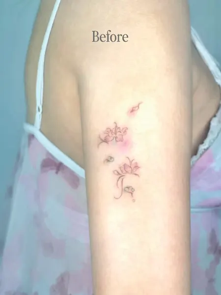 Flower, Rose, Nature