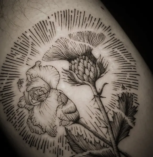Flower, Rose