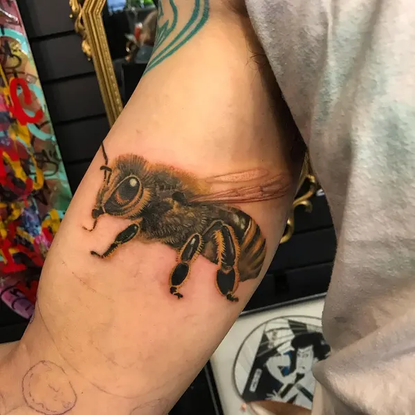 Animal, 벌