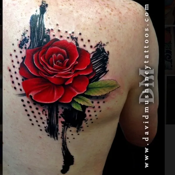 Flower, Rose, Nature