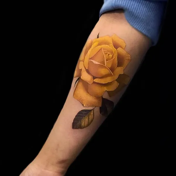 Flower, Rose