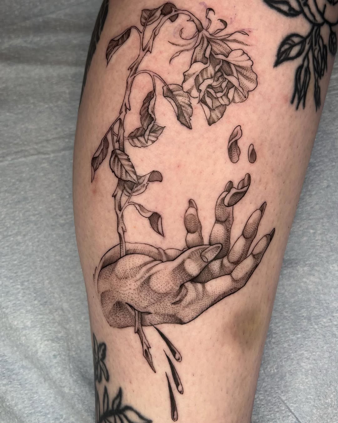 Flower, Rose