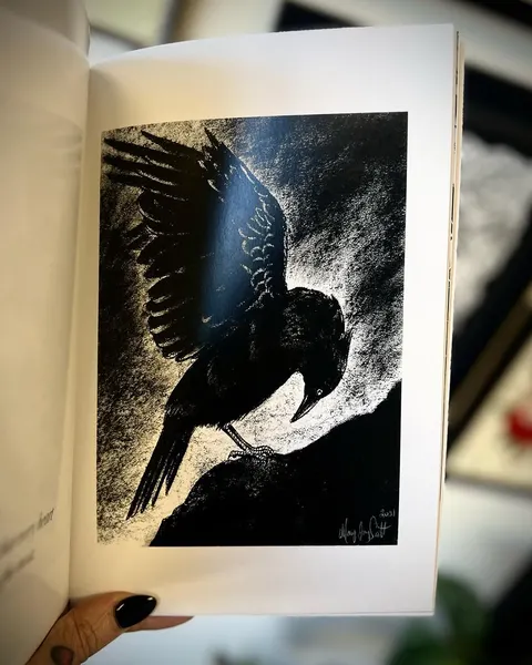 Animal